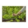 GARDENA MICRO-DRIP SYSTEM VERLÄNGERUNGSROHR 13 MM (1/2) 13326-20 1 GARDENA MICRO-DRIP SYSTEM VERLÄNGERUNGSROHR 13 MM (1/2) 13326-20 -Garten Care Geschaft 82856373 1